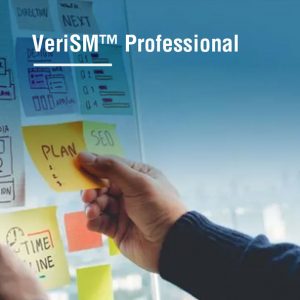 VeriSM™ Professional